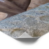 Poster, Morris Mendez, Palace of Fine Arts # 2 Poster (Hoek)