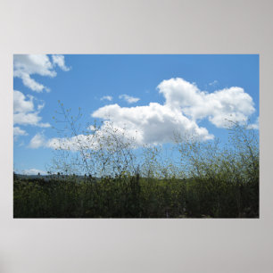 Poster: Mosterd in de wolken Poster