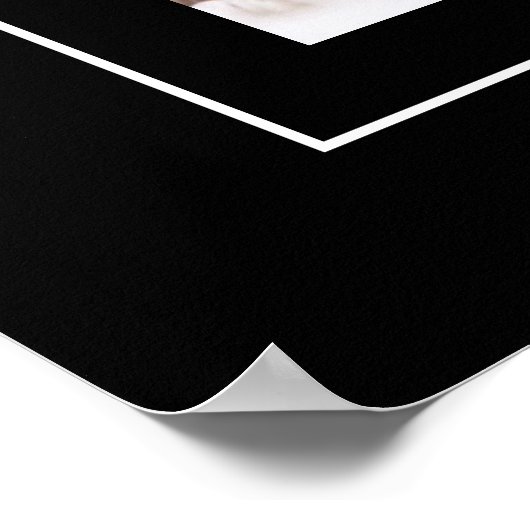 Poster-Mountain Lion Poster (Hoek)