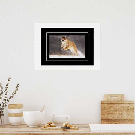 Poster-Mountain Lion Poster (Keuken)