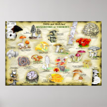 Poster Mushrooms van Vermont