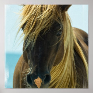 Poster Mustang Horse Print