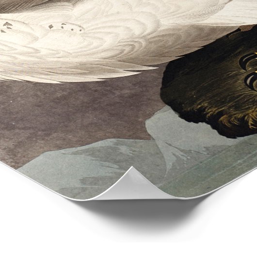  Poster Muur Kunst-IJsland Jer Falcon (Hoek)