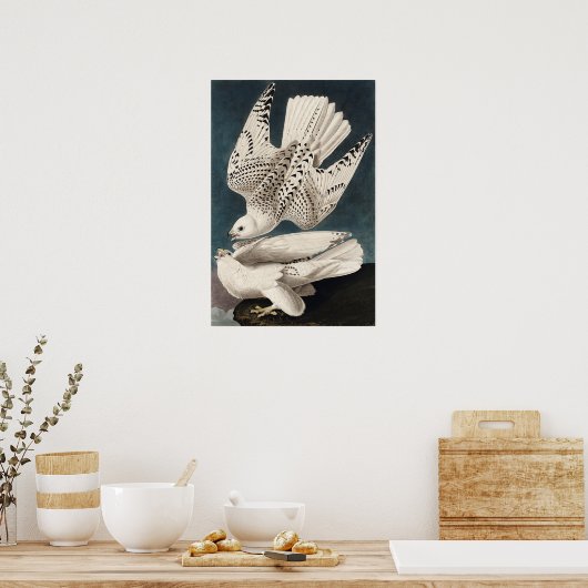  Poster Muur Kunst-IJsland Jer Falcon (Keuken)