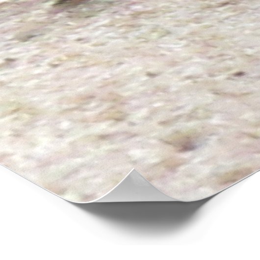 Poster - Muur vliegen (Hoek)