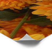 Poster najaar (Hoek)