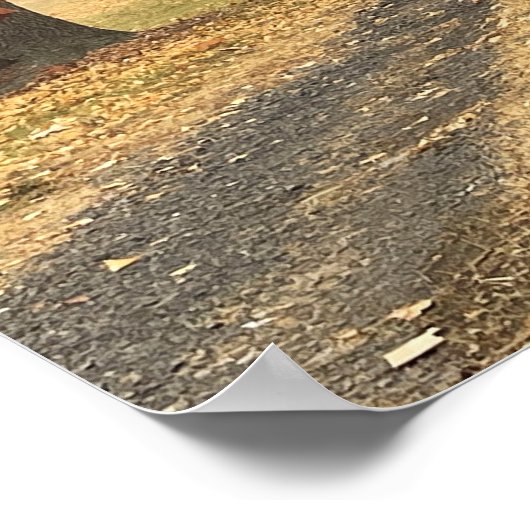 Poster najaarbomen (Hoek)