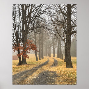 Poster najaarbomen