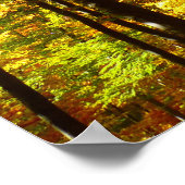 Poster najaarbomen (Hoek)