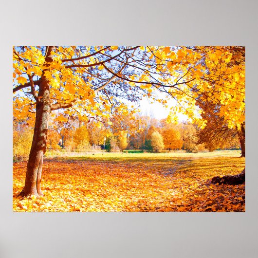 Poster najaarbomen