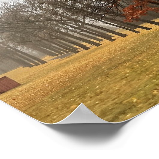 Poster najaarbomen (Hoek)