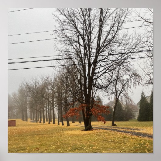 Poster najaarbomen (Voorkant)