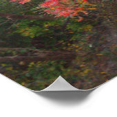 Poster najaarbomen (Hoek)