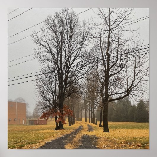 Poster najaarbomen (Voorkant)