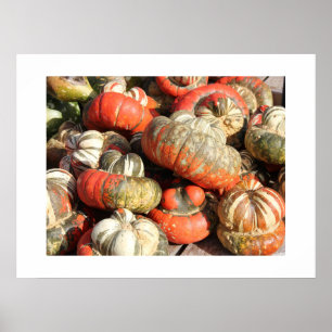 Poster najaargourds