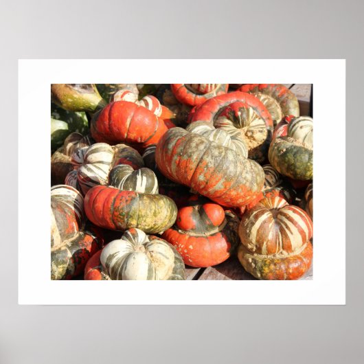 Poster najaargourds (Voorkant)