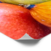 Poster najaargourds (Hoek)