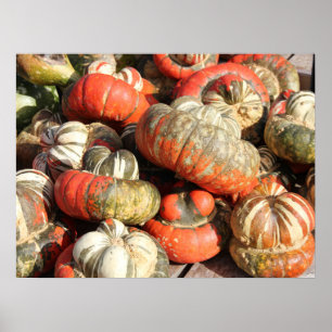 Poster najaargourds