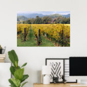 Poster Napa-wijngaarden (Thuiskantoor)