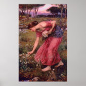Poster Narcissus Picking Flowers (Voorkant)