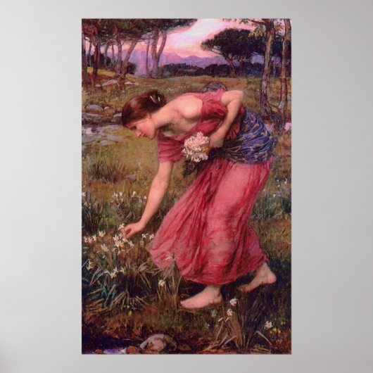 Poster Narcissus Picking Flowers (Voorkant)