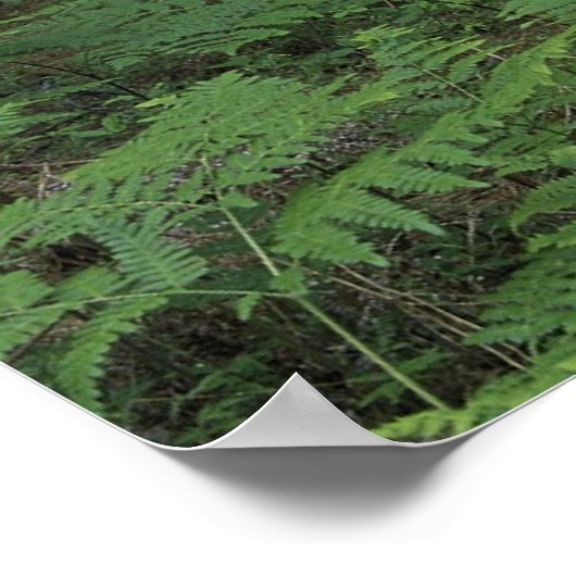 Poster / Nationale afvalstortplaats van Michigan (Hoek)