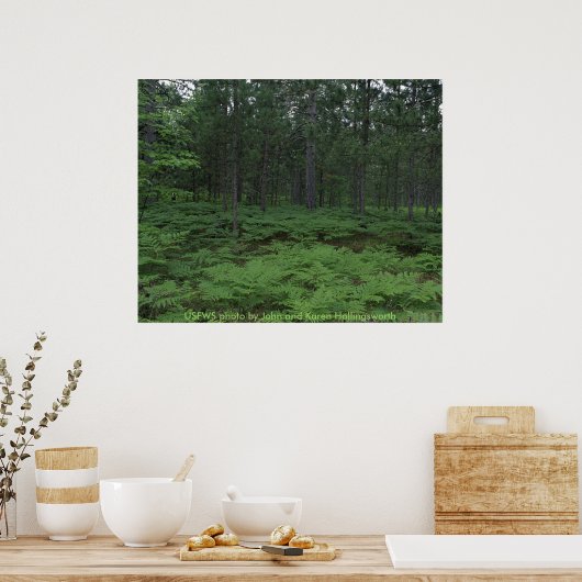 Poster / Nationale afvalstortplaats van Michigan (Keuken)