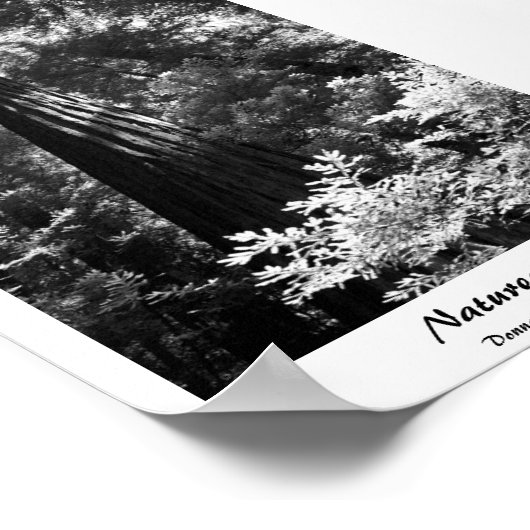 Poster Natuur Tower (Hoek)