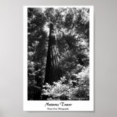 Poster Natuur Tower (Voorkant)