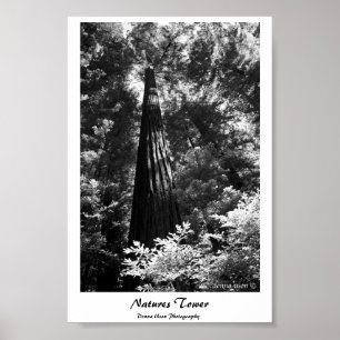 Poster Natuur Tower