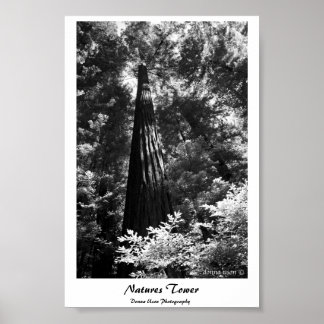 Poster Natuur Tower