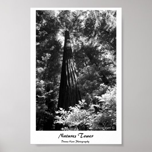Poster Natuur Tower (Voorkant)