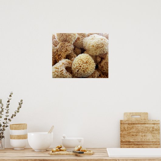 Poster Natuurlijke Sponges (Keuken)
