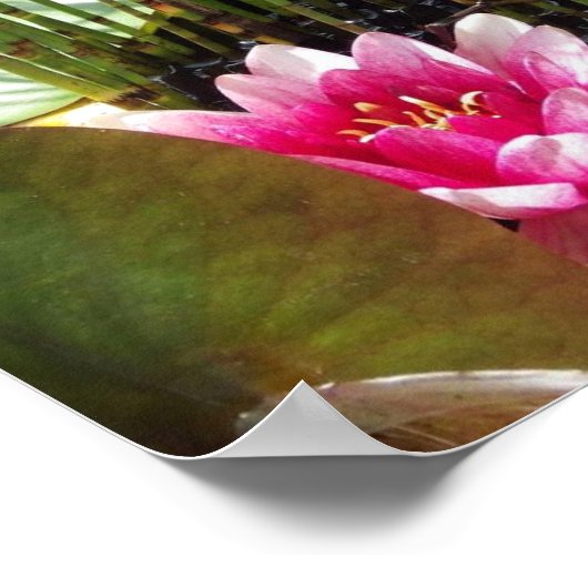 Poster Neklat Zen 27.94x21.59cm (Hoek)