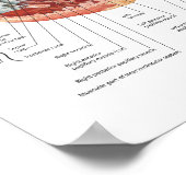 Poster nettorhart in dwarsdoorsnede (Hoek)