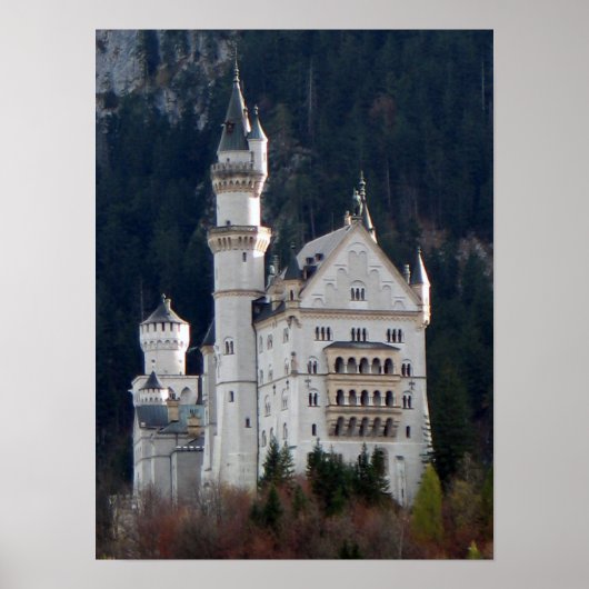 Poster Neuschwanstein Castle (Voorkant)
