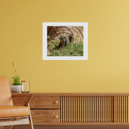 Poster - Nieuwsgierige eekhoorn