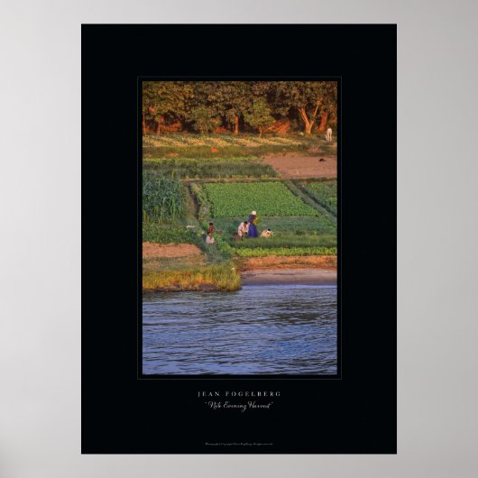 poster "Nile Evening Harvest" (Voorkant)