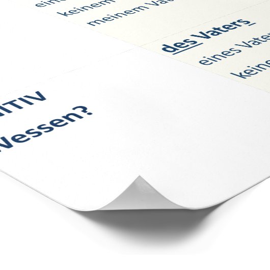 Poster - Nomendeklinatie (N-A-D-G/m-n-f-pl) (Hoek)