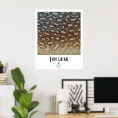 Poster Noordelijke Pike FFF (Thuiskantoor)