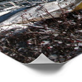 Poster noordoostkust (Hoek)