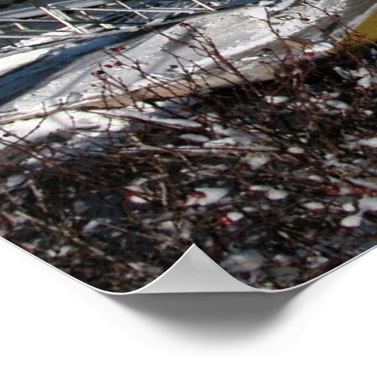 Poster noordoostkust (Hoek)