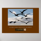 Poster nr. 5 (Voorkant)