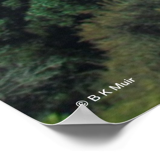 Poster - Oakland Bay Bridge 2013 (Hoek)