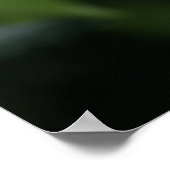 Poster - Ocelot snarl (Hoek)