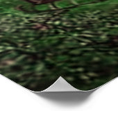 Poster oerwoud (Hoek)