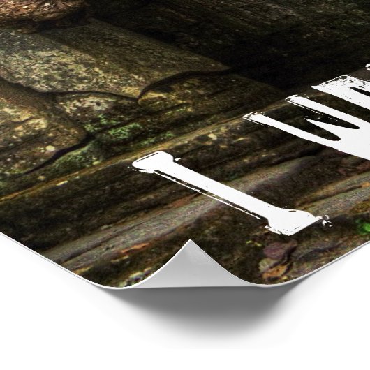 poster oerwoud (Hoek)