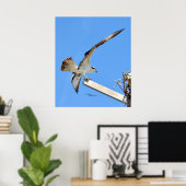 Poster of afdruk van vleugelspatten van Osprey of (Thuiskantoor)