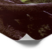 Poster of afdrukken (Hoek)