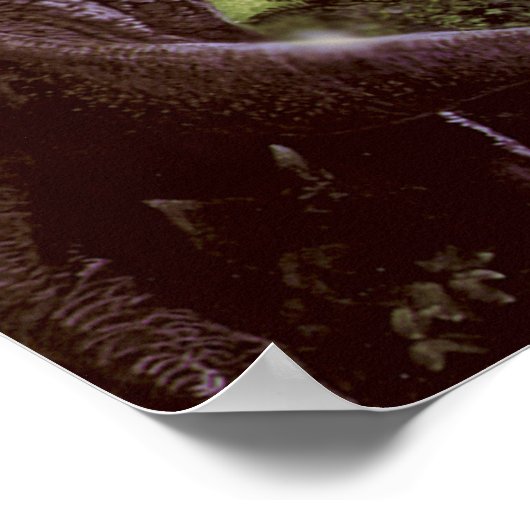 Poster of afdrukken (Hoek)